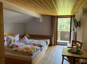 Double room, shower, toilet, 1 bed room